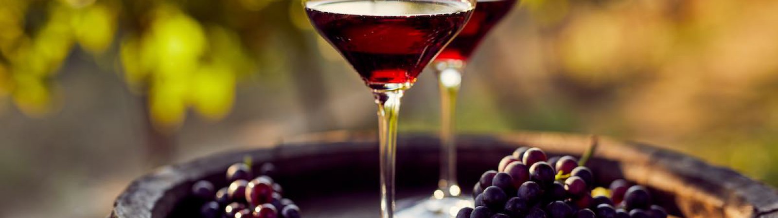 Corso Online Certificato di Vino e Degustazione Corso Online Certificato di Vino e Degustazione