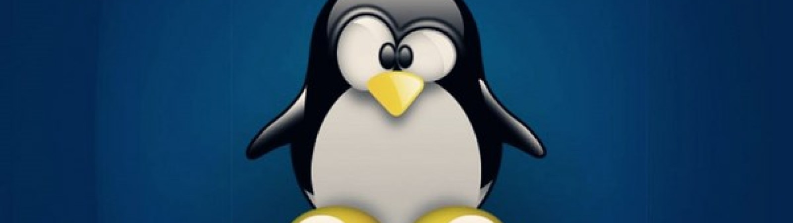 Corso Online di Sistemista Linux Corso Online di Sistemista Linux